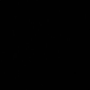 Meet your Posher, Finn